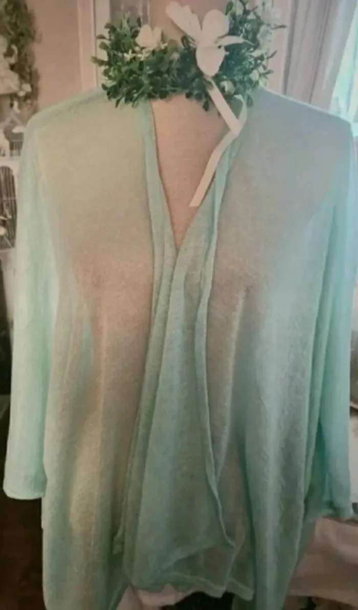 Gilet fin Over Size vert amande légèrement pailleté Inspired By Veritas Taille XL Neuf - photo numéro 3