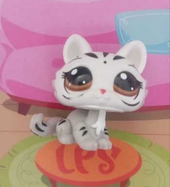 Petshop sphinx #3585