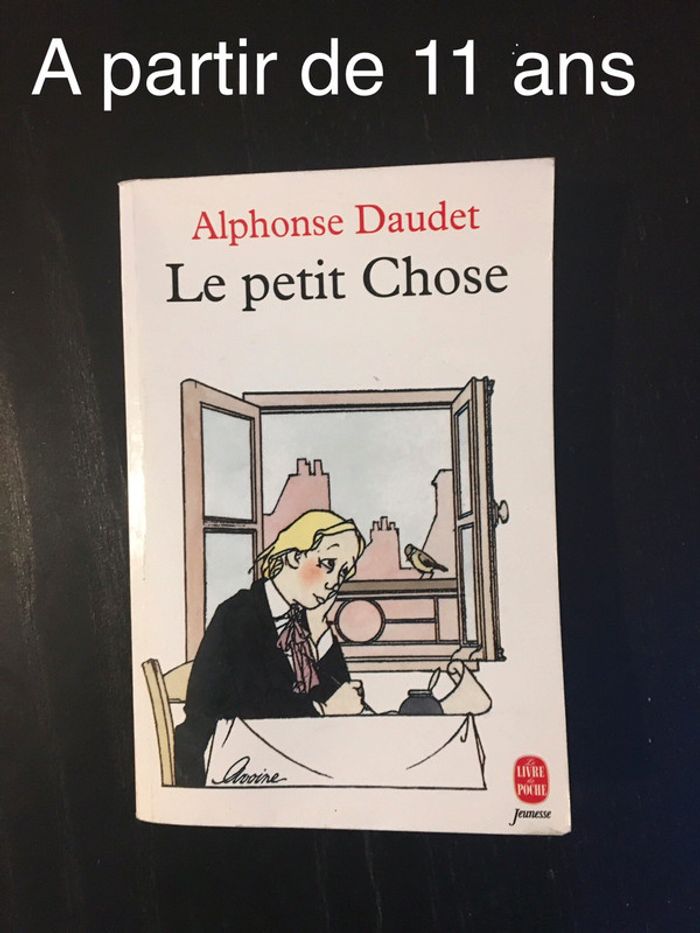 Livre jeunesse - le petit chose