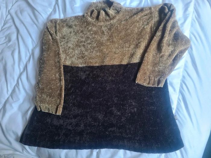 Pull femme. Marron bicolore. Longueur 75. Aisselles à aisselles 69. Taille 46 · Earthbound - photo numéro 4