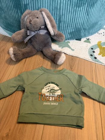 Sweat jurrassic world