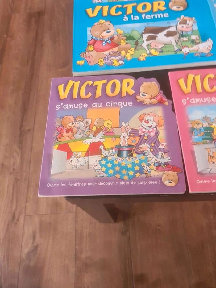 Lot livre victor - photo numéro 6