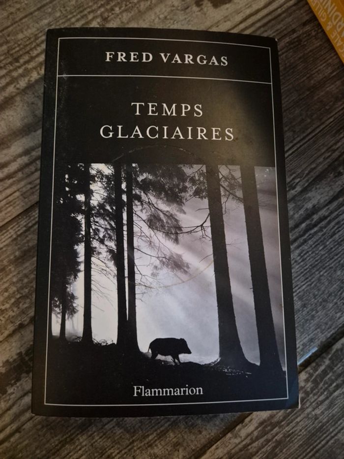 Lots livres fred Vargas - photo numéro 4