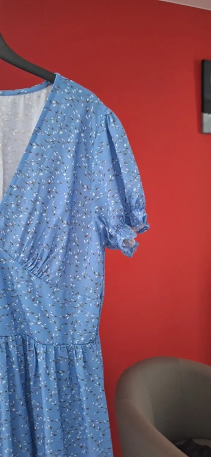 Robe bleu - photo numéro 3