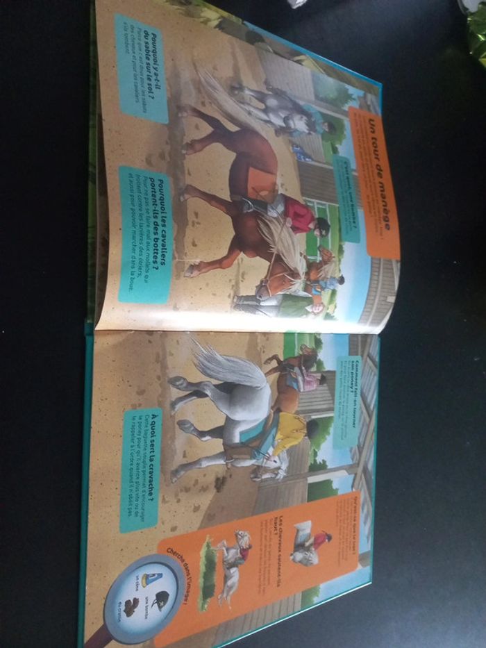 Livre questions réponses poneys et chevaux - photo numéro 3
