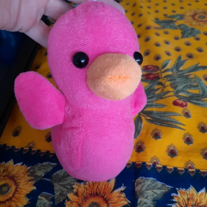 peluche