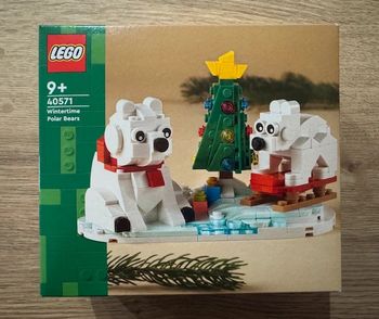 LEGO 40571 : Les ours blancs en hiver