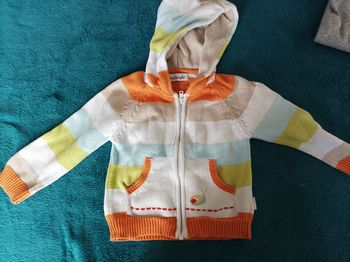 Gilet à capuche rayé