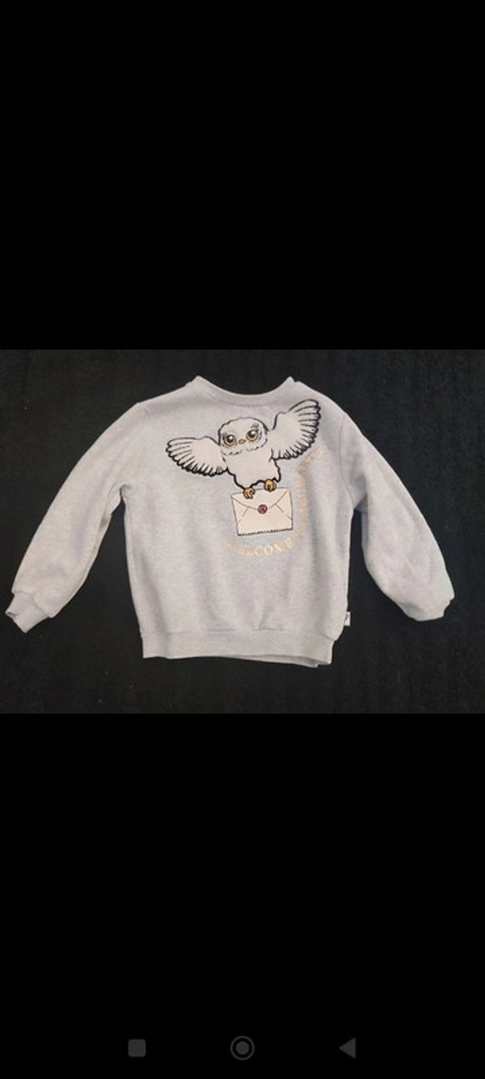 Pull Harry Potter