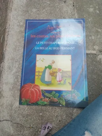 Livre le petit chaperon rouge et la belle au bois dormant