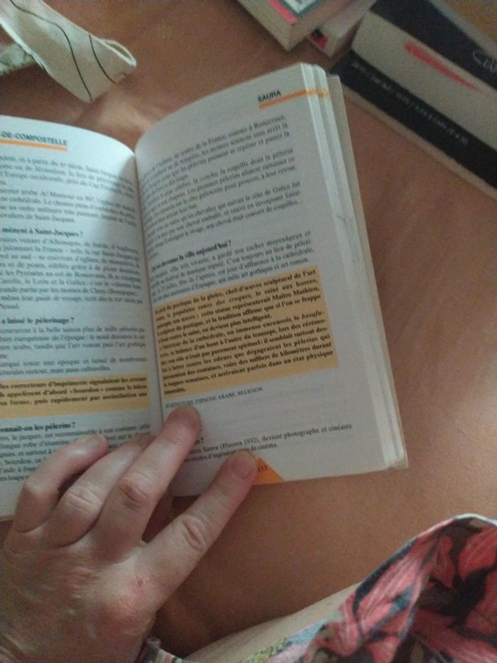 Guide civilisation hispanique - photo numéro 3