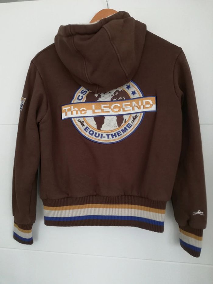 Veste / pull / sweat chaud - photo numéro 2