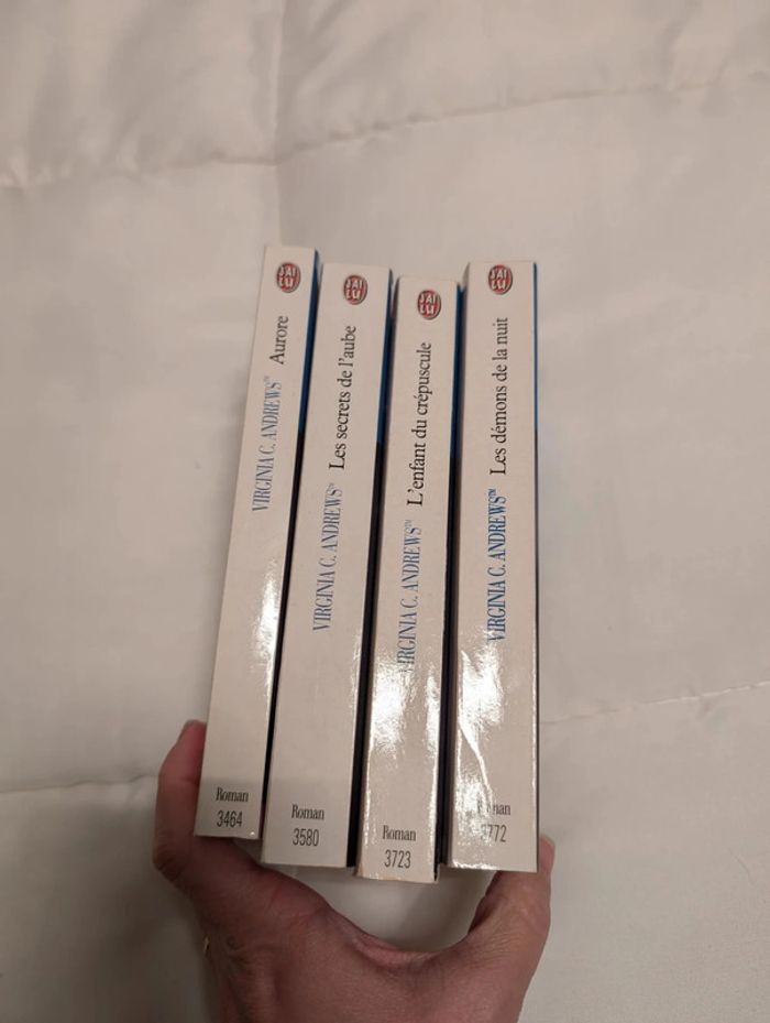 Livres "Aurore" de Virginia C. Andrews - photo numéro 3