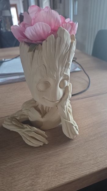 Groot