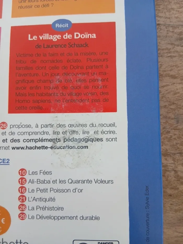 Bibliobus historique la préhistoire - photo numéro 3