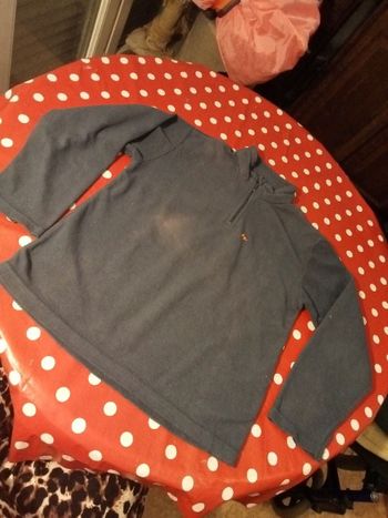 Pulls polaire 🩶 2