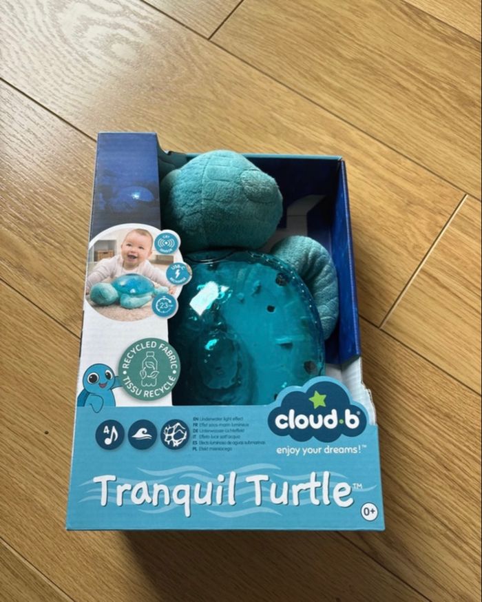 Tortue Cloud B bleu