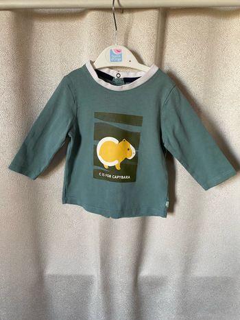 T-shirt vert de gris raton 6 mois Obaibi