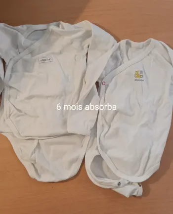 2 bodies