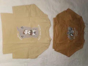 Lot de 2 tee-shirts manches longues Taille 36 mois