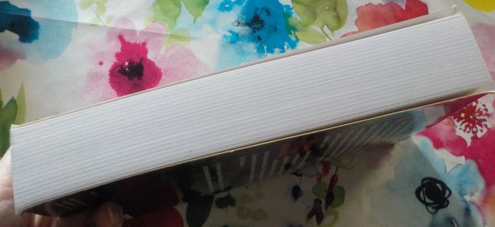 Tu iras en enfer de Stephen Leather Ed. First - photo numéro 4