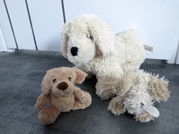 Lot de 3 peluches chien