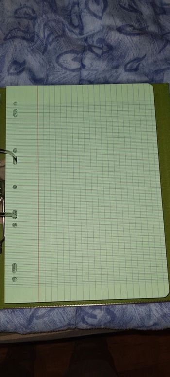 Feuilles simples à gros carreaux bleues ou vertes