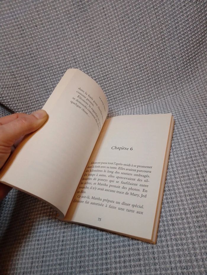 Un Nouvel Ami - Les Poneys Magiques T.1 - photo numéro 6