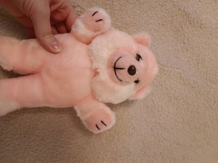 Peluche ours rose - photo numéro 3