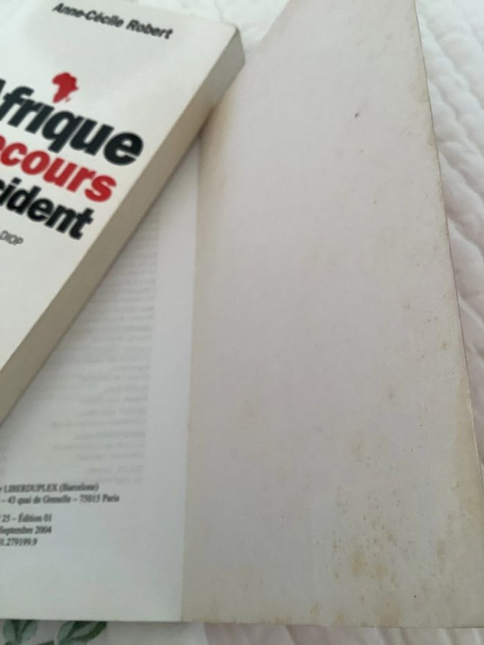 Négrologie, pourquoi l’Afrique meurt, par Stephen Smith - photo numéro 9