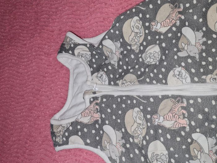Gigoteuse hiver disney 110 cm - photo numéro 2