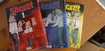 Lot manga Secret