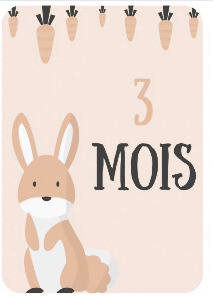 Lot de vêtements
