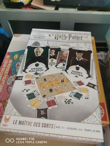 Le Maitre des Sorts Harry Potter