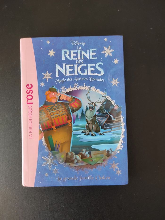 Livre la magie des aurores boréales la reine des neiges