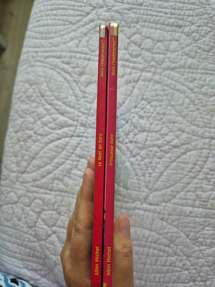 Livres enfants - lot Dora l'exploratrice 1 - Nickelodeon - photo numéro 2