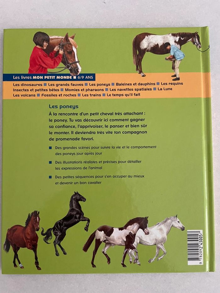 Les Poneys - photo numéro 6