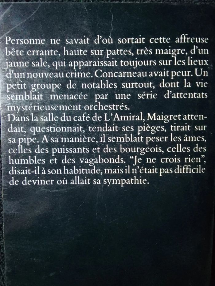 Simenon 🫧 Un chien jaune - photo numéro 3