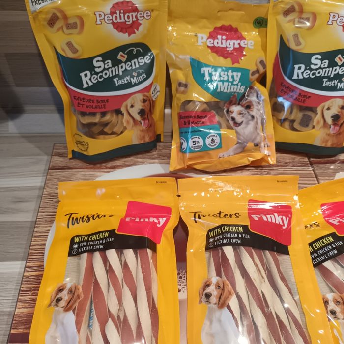 Lot accessoires pour chien - photo numéro 2