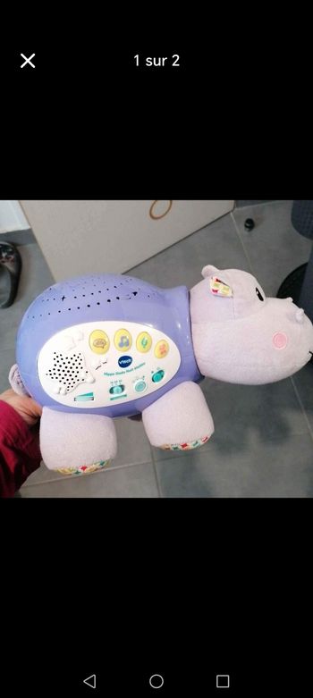 Hippo nuits étoilées