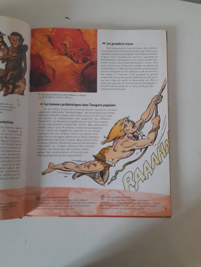 La préhistoire livre avec dvd - photo numéro 10