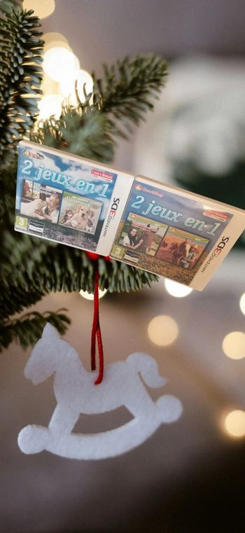 Lot 2 Jeu Nintendo 3ds 2en1