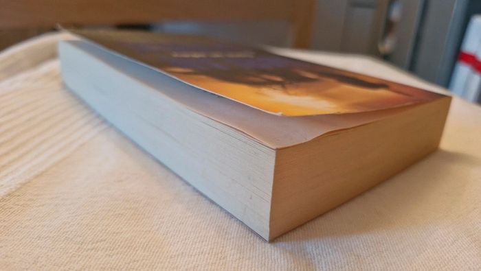 Sans un adieu d Harlan coben - photo numéro 4