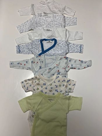 Lot 7 bodies