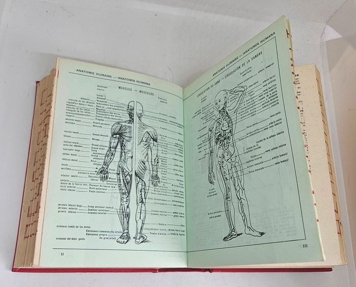 Dictionnaire Français - Espagnol / Español - Francés Larousse - photo numéro 7