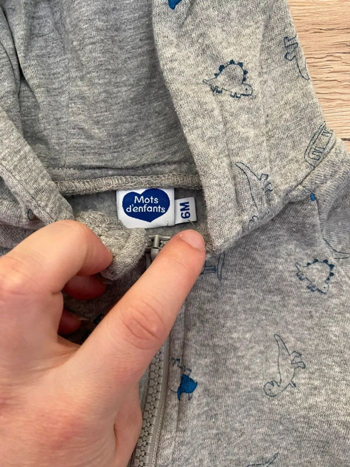 Gilet à capuche dinosaures 6 mois - photo numéro 3