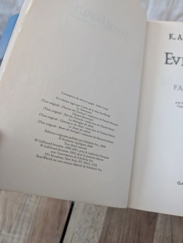 Lot livres Everworld - photo numéro 7