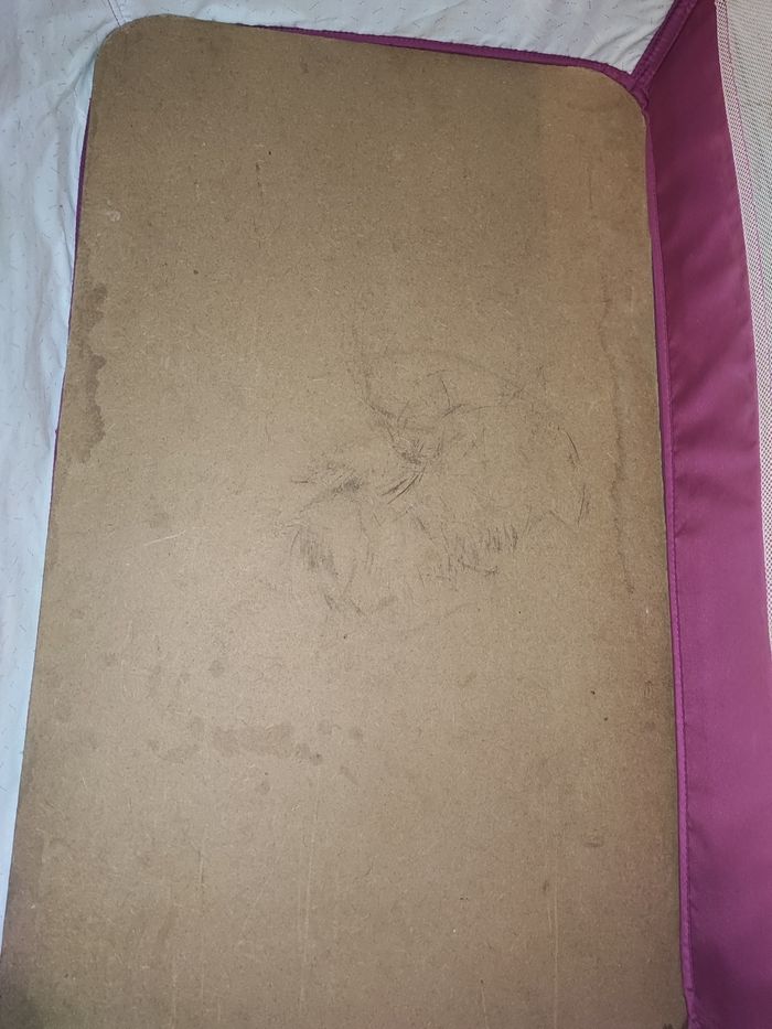 Cododo - photo numéro 4