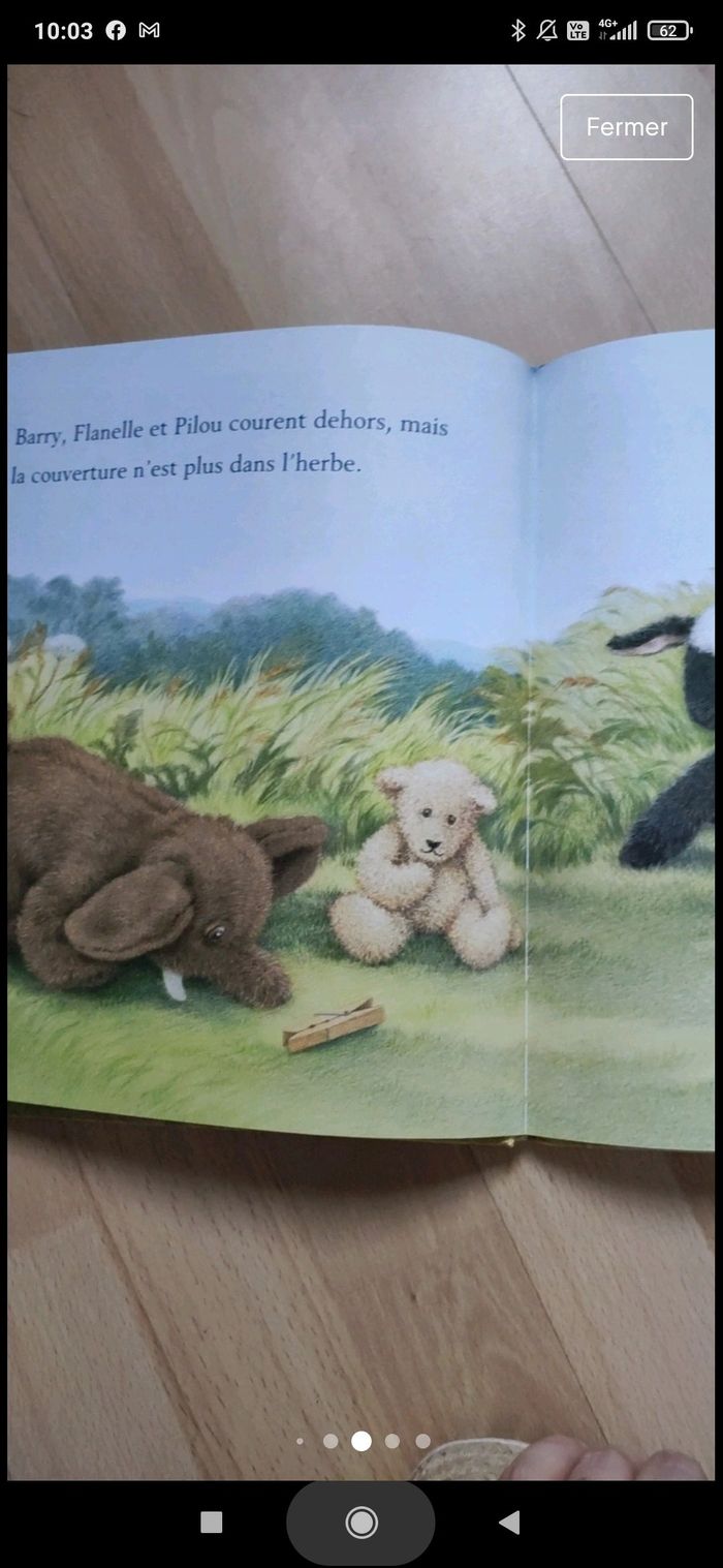 Livre éléphant - photo numéro 5