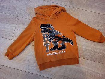 Sweat-shirts dinosaure à capuche